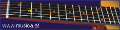 eMedia Gitarren-Schule Animiertes Griffbrett
